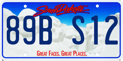 SD license plate 89BS12