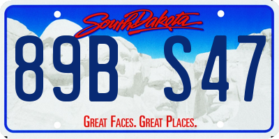 SD license plate 89BS47