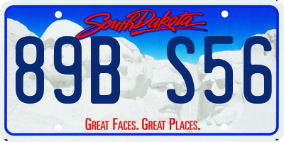 SD license plate 89BS56