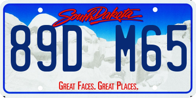 SD license plate 89DM65
