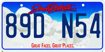 SD license plate 89DN54