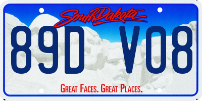 SD license plate 89DV08