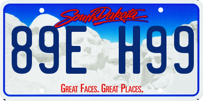 SD license plate 89EH99
