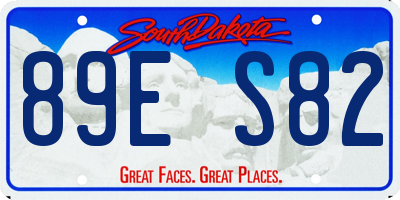 SD license plate 89ES82