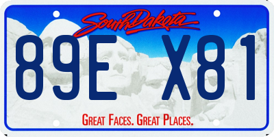 SD license plate 89EX81