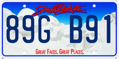 SD license plate 89GB91