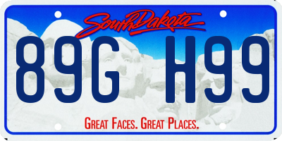 SD license plate 89GH99