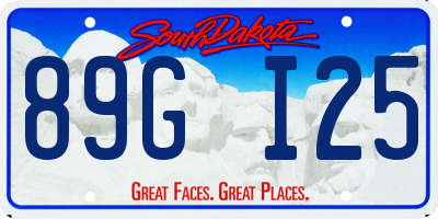 SD license plate 89GI25