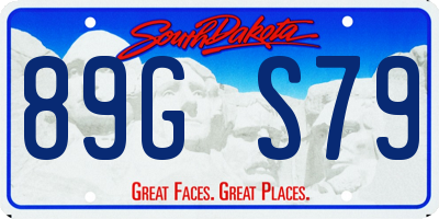 SD license plate 89GS79
