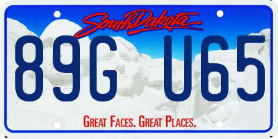 SD license plate 89GU65