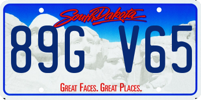 SD license plate 89GV65
