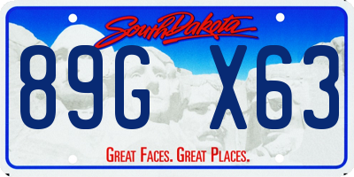 SD license plate 89GX63