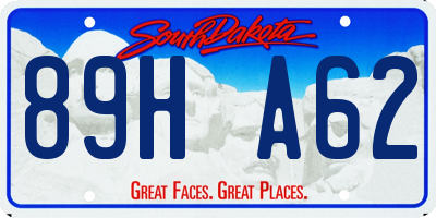 SD license plate 89HA62