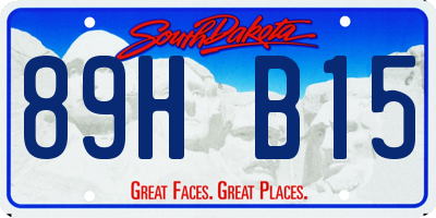 SD license plate 89HB15