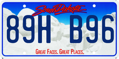 SD license plate 89HB96