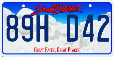SD license plate 89HD42