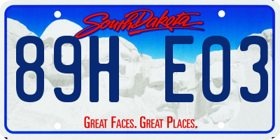 SD license plate 89HE03