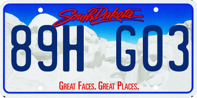 SD license plate 89HG03
