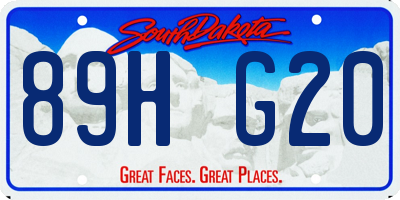 SD license plate 89HG20