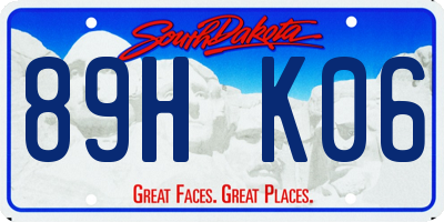 SD license plate 89HK06