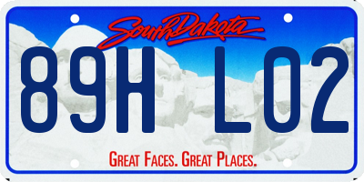 SD license plate 89HL02