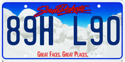 SD license plate 89HL90