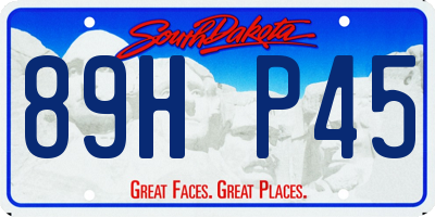 SD license plate 89HP45
