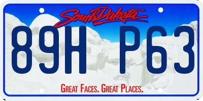 SD license plate 89HP63