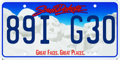 SD license plate 89IG30