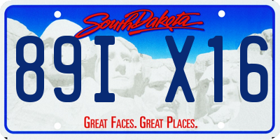 SD license plate 89IX16