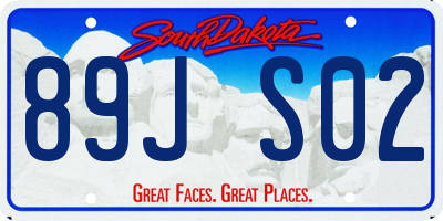 SD license plate 89JS02
