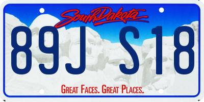 SD license plate 89JS18