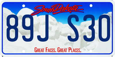 SD license plate 89JS30