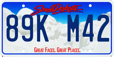 SD license plate 89KM42