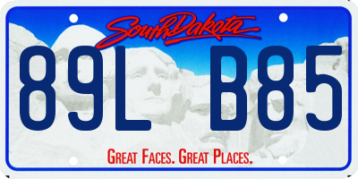 SD license plate 89LB85