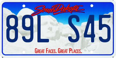 SD license plate 89LS45