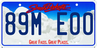 SD license plate 89ME00