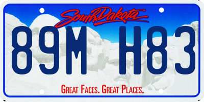 SD license plate 89MH83