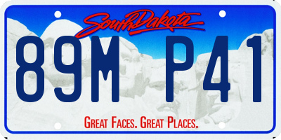 SD license plate 89MP41