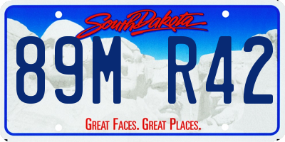 SD license plate 89MR42