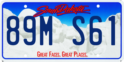 SD license plate 89MS61