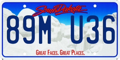 SD license plate 89MU36
