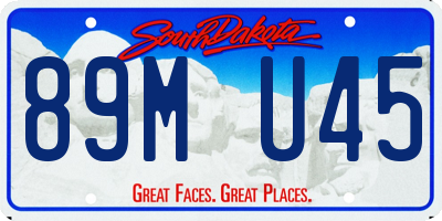 SD license plate 89MU45