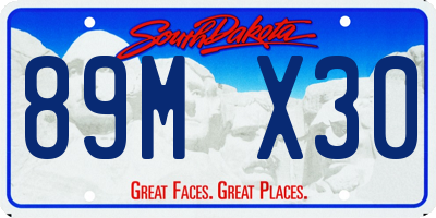 SD license plate 89MX30