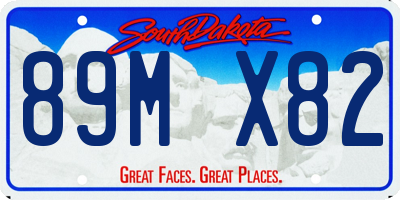SD license plate 89MX82