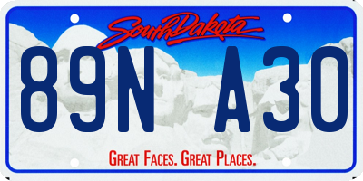 SD license plate 89NA30