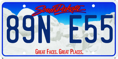 SD license plate 89NE55