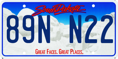 SD license plate 89NN22