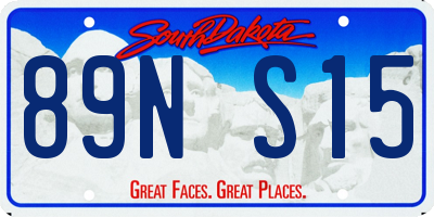 SD license plate 89NS15