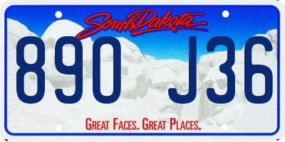 SD license plate 89OJ36